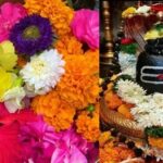 इंडिया-पाकिस्तान क्रिकेट मैच (14 सितंबर 2025): विरोधियों की प्रतिक्रिया और सार्वजनिक भावनाएँ