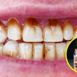 SAI में सहायक प्रोफेसर के लिए भर्ती 2025, सैलरी 1.82 लाख तक