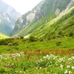 चमोली में खाने की सबसे बढ़िया चीजें – पाँच खास व्यंजन