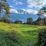 बिहार चुनाव 2025: “यह चुनाव जनता की प्रतिष्ठा का है, न कि मोदी या नीतीश के लिए” — बेतिया में बोले प्रधानमंत्री नरेंद्र मोदी