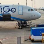 वन्यजीव हमलों की सूचना पर 30 मिनट में पहुंचेगी टीम, धामी ने पौढ़ी के डीएफओ को हटाया