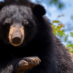 Dehradun – रील को लेकर सियासी घमासान, भाजपा पर हरीश रावत का तीखा पलटवार “झूठ की बुनियाद पर राजनीति नहीं चलेगी”