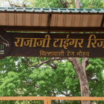 काग़ज़ों में महंगाई गिर रही है, ज़िंदगी में क्यों नहीं? सरकार खुश, जनता परेशान!