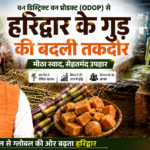 देवा धामी की फिल्म ‘मंगल एक पहाड़ी’ 21 अगस्त को होगी रिलीज़, पिथौरागढ़ और हल्द्वानी में दिखेगा पहाड़ की मिट्टी का रंग
