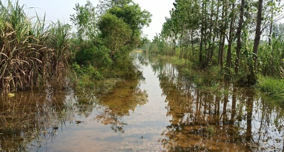 तराई इलाकों में बेमौसम बारिश