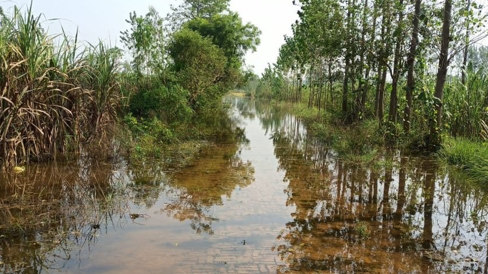तराई इलाकों में बेमौसम बारिश